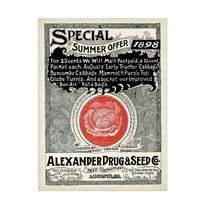 Unknown 'Antique Seed Packets XIII' Canvas Art