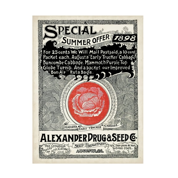 Unknown 'Antique Seed Packets XIII' Canvas Art