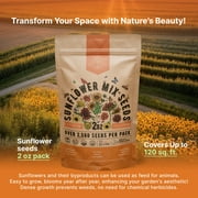 Sunflower Mix Seeds Pack 2 oz – 2,500+ Non-GMO Heirloom Seeds for Planting Indoors & Outdoors – Resealable Bag, High Germination, Pollinator-Friendly Wildflowers – USA Grown