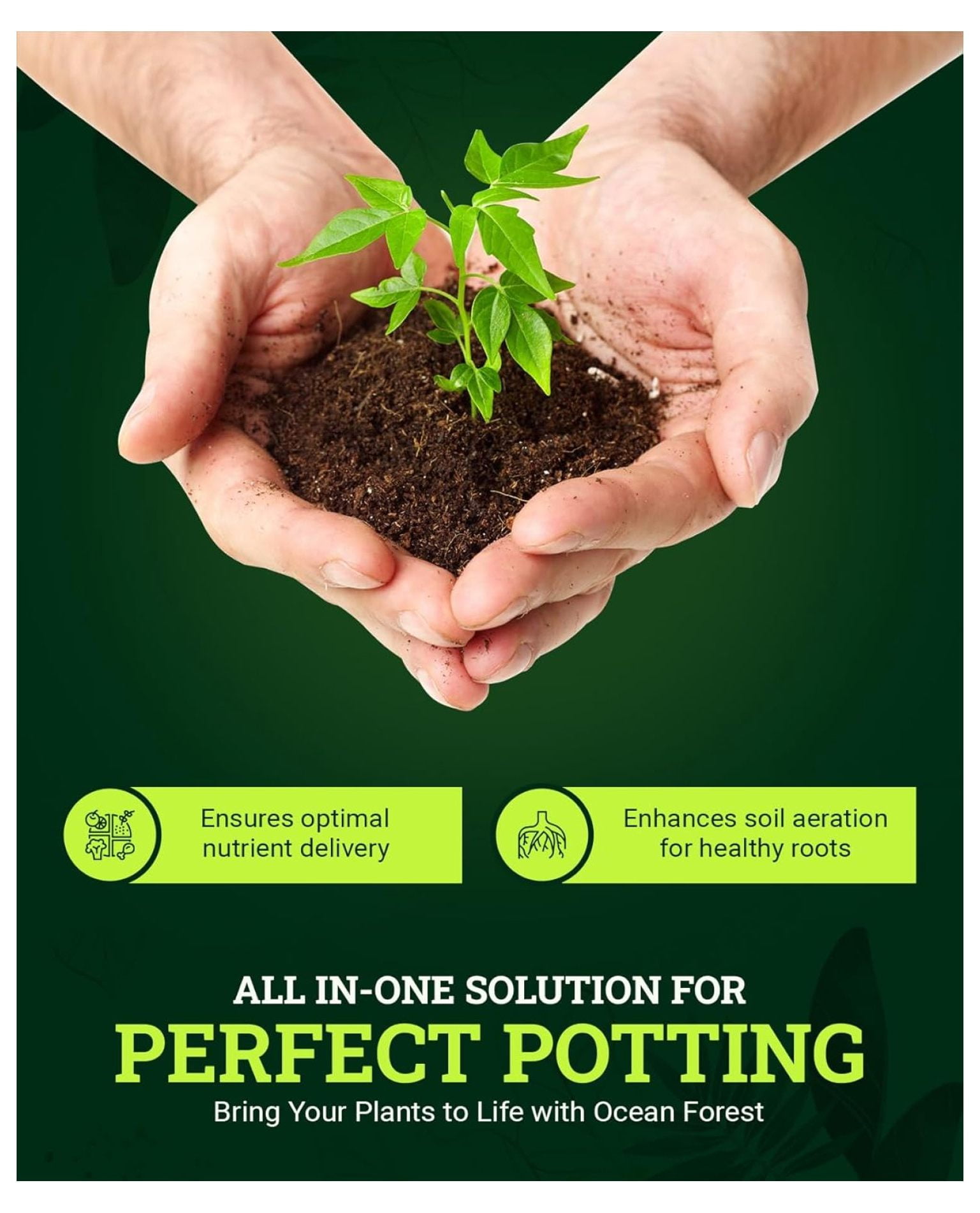 Ocean Forest Potting Soil, 12qt – Light, Aerated Texture, Designed for All Container Plants – pH Adjusted for Optimal Nutrient Uptake, Effectively Retains Moisture (12 Quart (2 Pack))