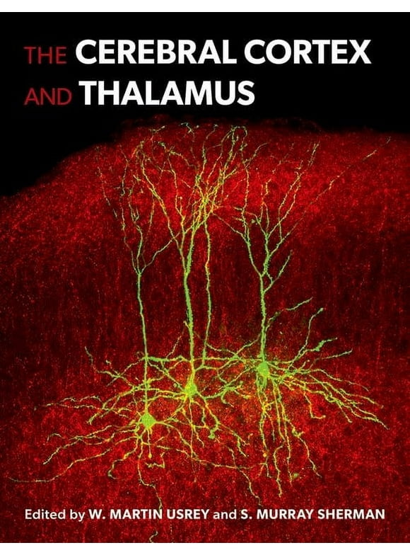 The Cerebral Cortex and Thalamus (Hardcover)