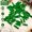 Christmas Green, variant on 50pcs Christmas Mini Wooden Clothespins Photo Clips Small Wood Peg Set for Holiday Cards Paper Crafts Party Decorations