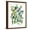 Brown Frame, variant on Art.com Skip Hop I Art Print by Chariklia Zarris, 12" x 16"