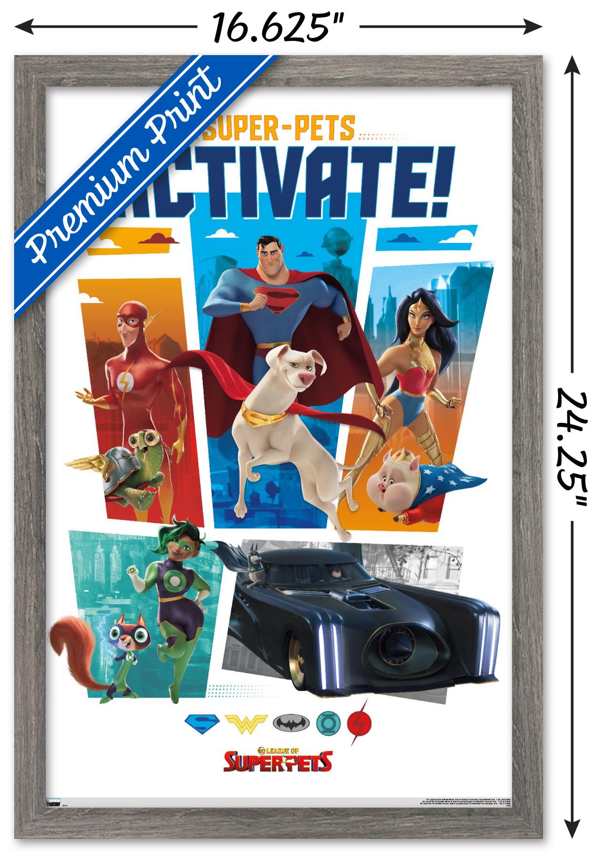 DC League of Super-Pets - Heroes Wall Poster, 14.725" x 22.375" Framed
