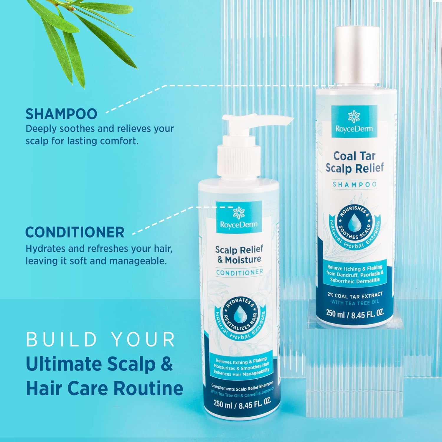 Roycederm Coal Tar Dandruff Shampoo: Extra Strength 2% Coal Tar Extract Medicated Gel for Rapid Scalp Hair Relief targets dandruff, psoriasis, and seborrheic dermatitis - Hydrating & Natural - 2 Pack
