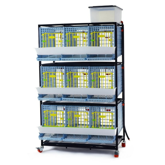 Hatching Time Partridge Cage - 3 Layer (Power-Washable, Durable, ABS Plastic) | Cimuka