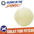 thumbnail image 3 of Lanzador de pelotas de tenis para perros Dog Toy Nerf con bola brillante de 2.5 pulgadas, 3 of 4