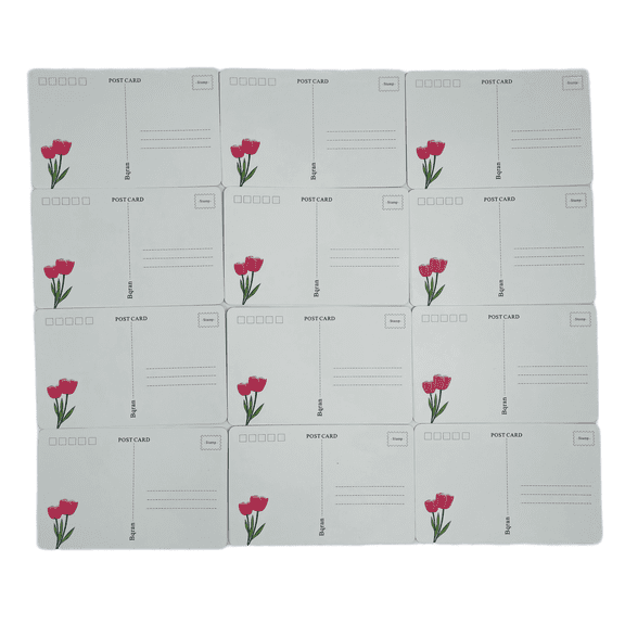 Bqran 12 Sheets 4 x 6.5 Printed Post Cards, Blank Postcards for Painting, DIY, Mailing, Invitations, Greeting Cards