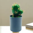 thumbnail image 3 of Kripyery Artificial Bonsai No Wilting Fresh-keeping PVC Cute Faux Cactus with Pot Desktop Decor, 3 of 8