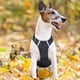 thumbnail image 4 of Chaleco para mascotas Sin tirones con mango confiable Suave acolchado Transpirable, 4 of 8