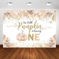 thumbnail image 1 of Decoraciones para el primer cumpleaños de nuestra pequeña calabaza para niña. Telón de fondo para el primer cumpleaños, temática de calabaza otoñal, estilo bohemio (2,1 x 1,5 m)., 1 of 6