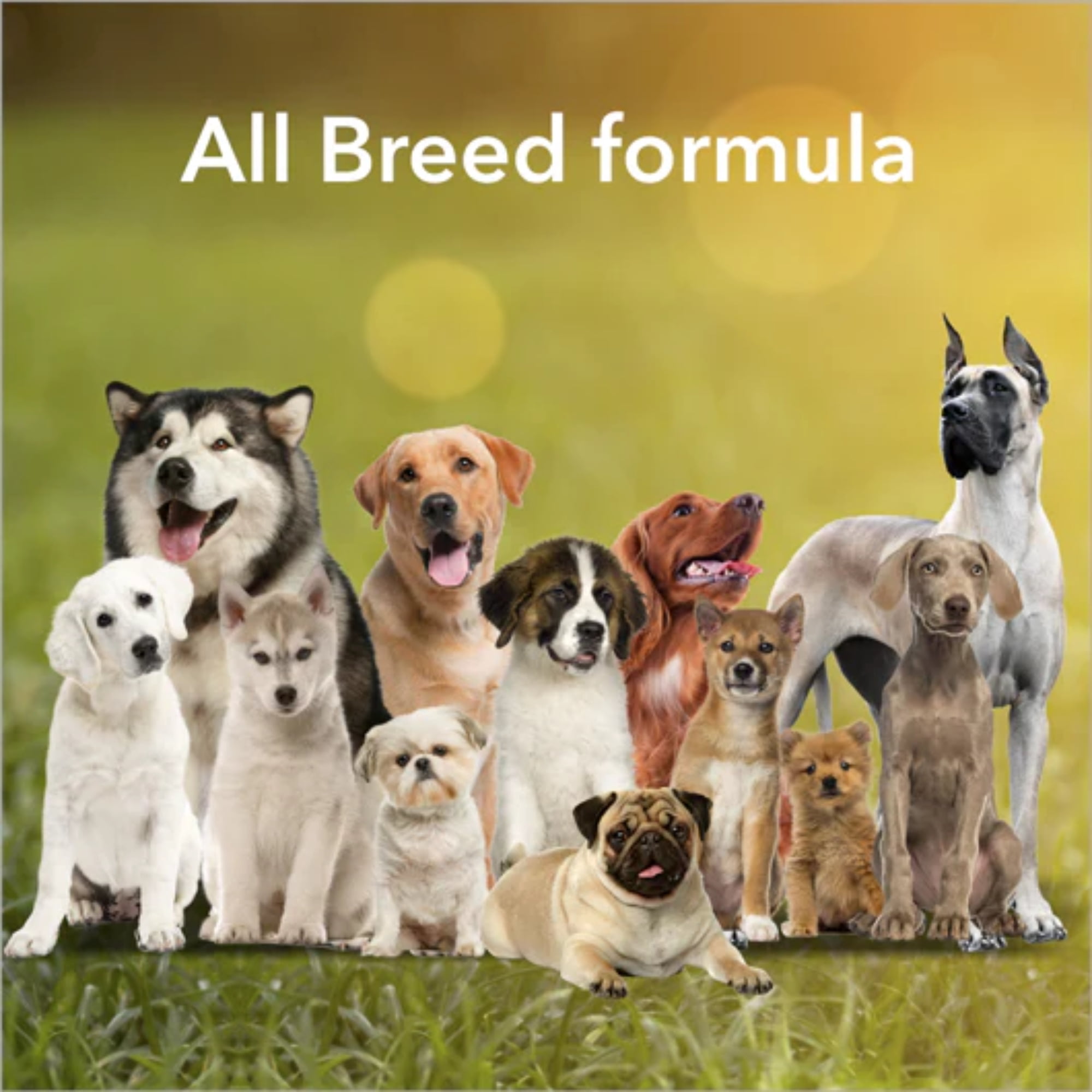 Canine Carry Outs Beef & Cheese Flavor Dog Snacks with Delicious Aroma & Soft Texture for Pup Treats Snackings Treating Training Goodies for All Dog Sizes Convenient & Resealable Bags 5.2oz Pack of 4
