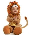 thumbnail image 4 of Joyfy Baby Lion Costume with Toy Zebra for Infant,  6-12 Months Halloween Animal Themed Party Role Playing Cosplay, 4 of 7