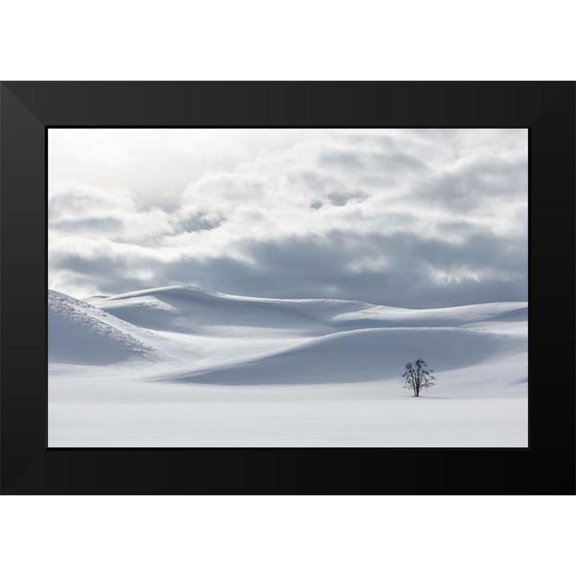 The Yellowstone Collection 14x11 Black Modern Framed Museum Art Print Titled - Shades of white in Hayden Valley, Yellowstone National Park