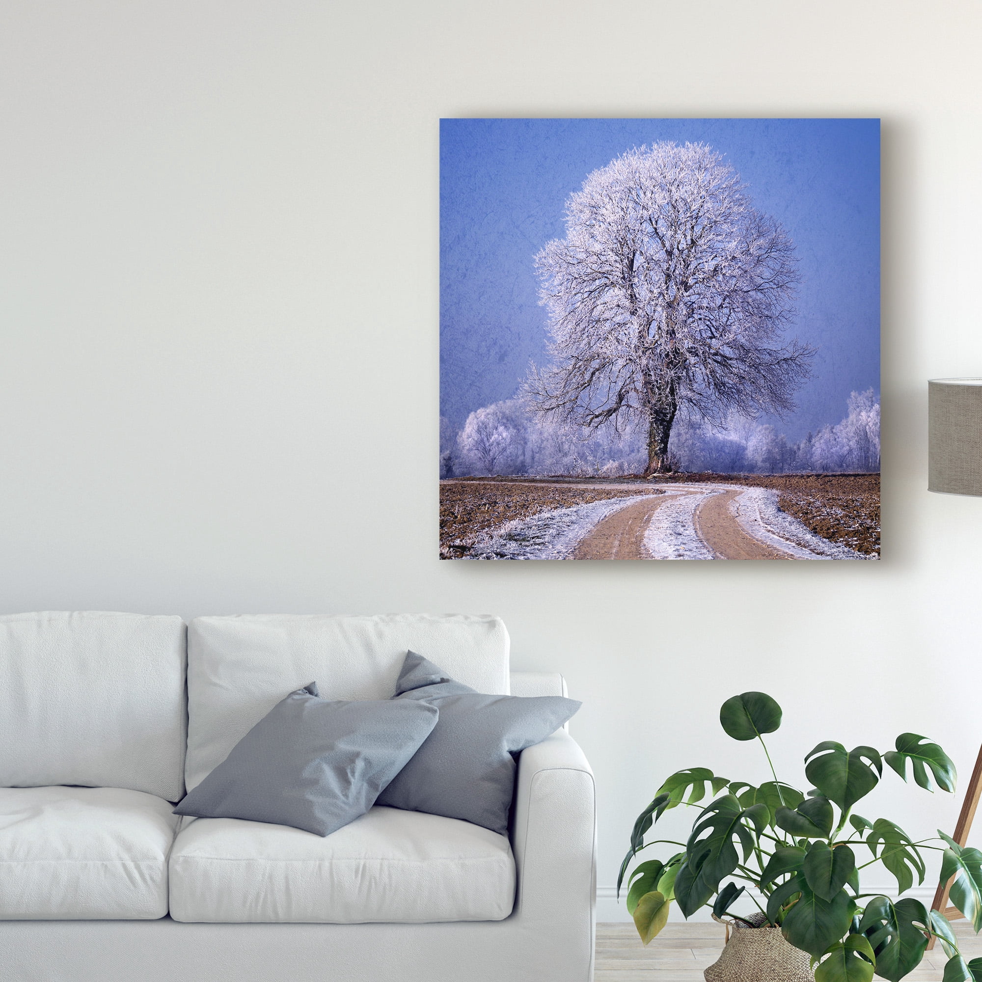 Trademark Fine Art 'The Sounds Of Silence' Canvas Art by Philippe Sainte-Laudy