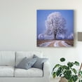 thumbnail image 3 of Trademark Fine Art 'The Sounds Of Silence' Canvas Art by Philippe Sainte-Laudy, 3 of 4