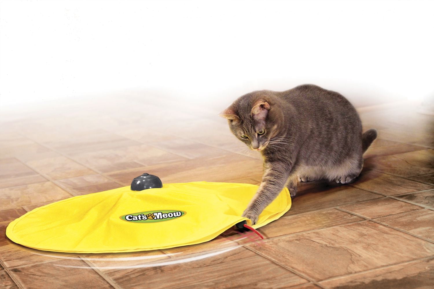 Jouet pour chats Cat's MeowMC d'Allstar Products Group Jouet pour chat