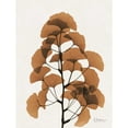 thumbnail image 3 of Koetsier, Albert 12x14 Black Modern Framed Museum Art Print Titled - Aged Ginko, 3 of 5