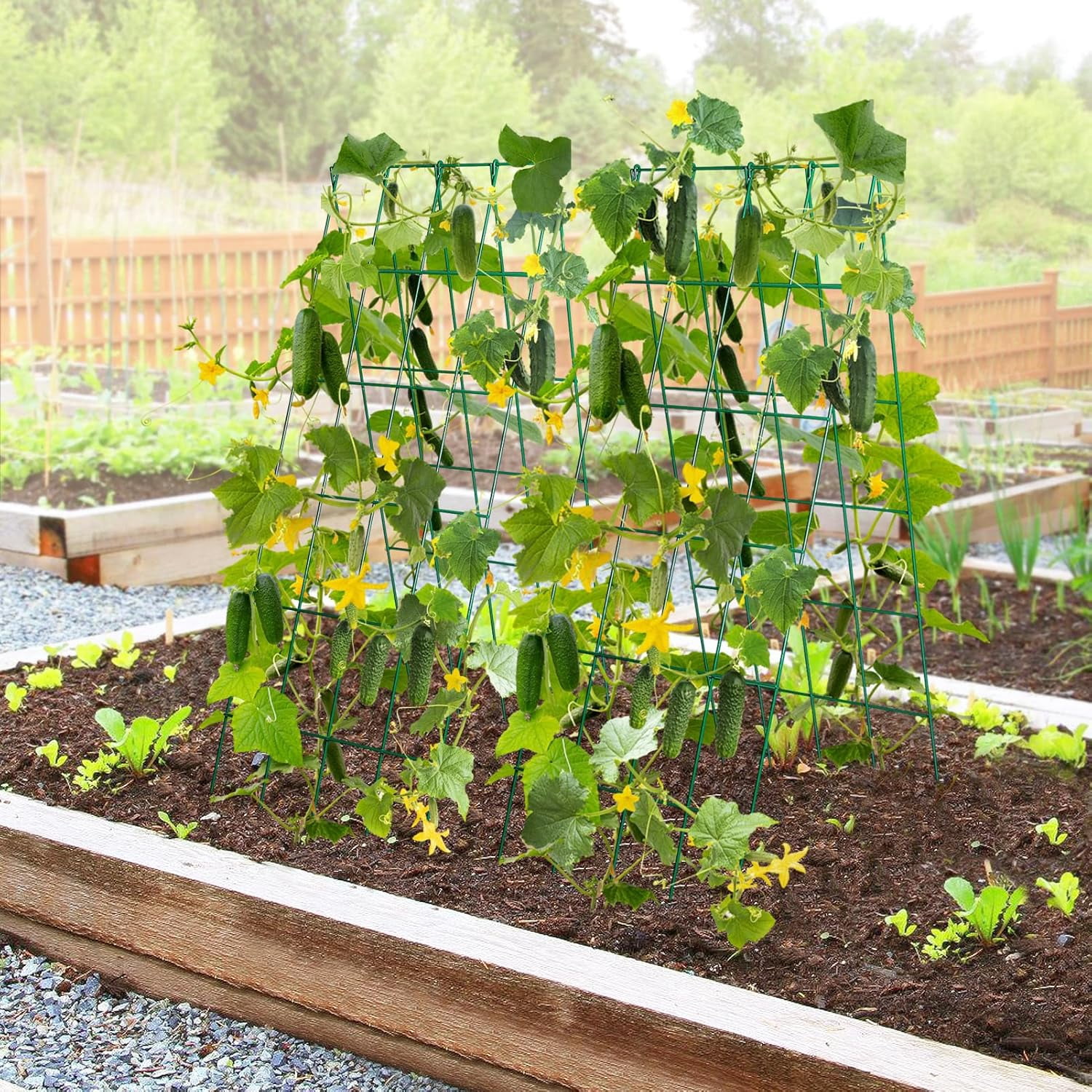 2Sets Stable Cucumber Trellis - 39.3" L x15.7'' W Foldable Garden Trellis for Raised Bed, A-Frame Metal Plant Support Trellis with Ties for Bean Raspberry Squash Climbing Plants Outdoor