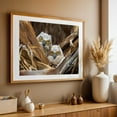 thumbnail image 5 of Great Horned Owl chicks - Photography Wildlife Bird Animal Nature Woodland Forest Unframed Wall Art Print 24 x 36 inches, 5 of 7