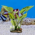 thumbnail image 4 of Plantas de agua artificiales para peceras, acuario de resina sintética Plantas de agua artificiales para acuarios Plantas de agua de simulación para peceras construidas para el futuro Jadeshay  A, 4 of 8