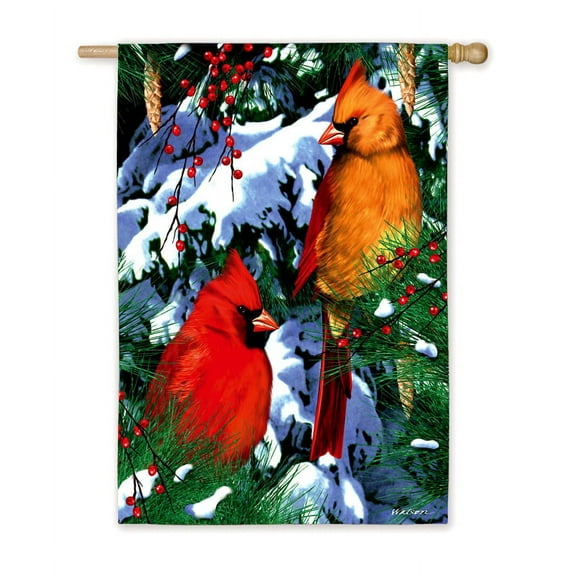 Flag,House Size Flag,Winter Wonders