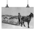 thumbnail image 2 of Print: Taking A Government Load To Copper Center, circa 1900, 2 of 4