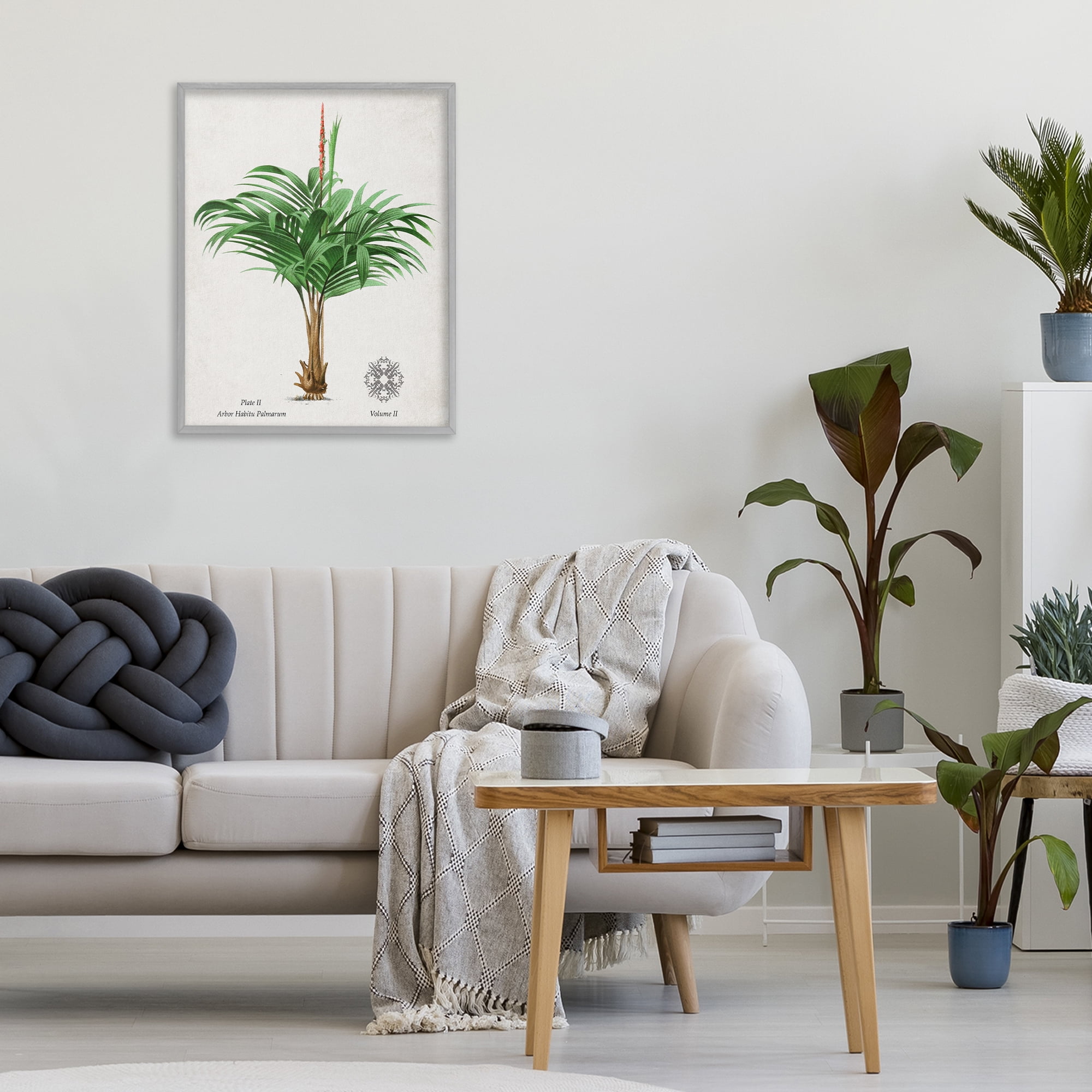 Stupell Industries Natural Palm Variety Study Gray Framed Giclee Art, design by Val Rhodes