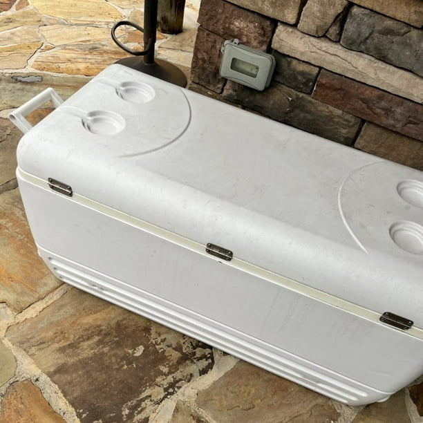 Igloo hinges best sale walmart