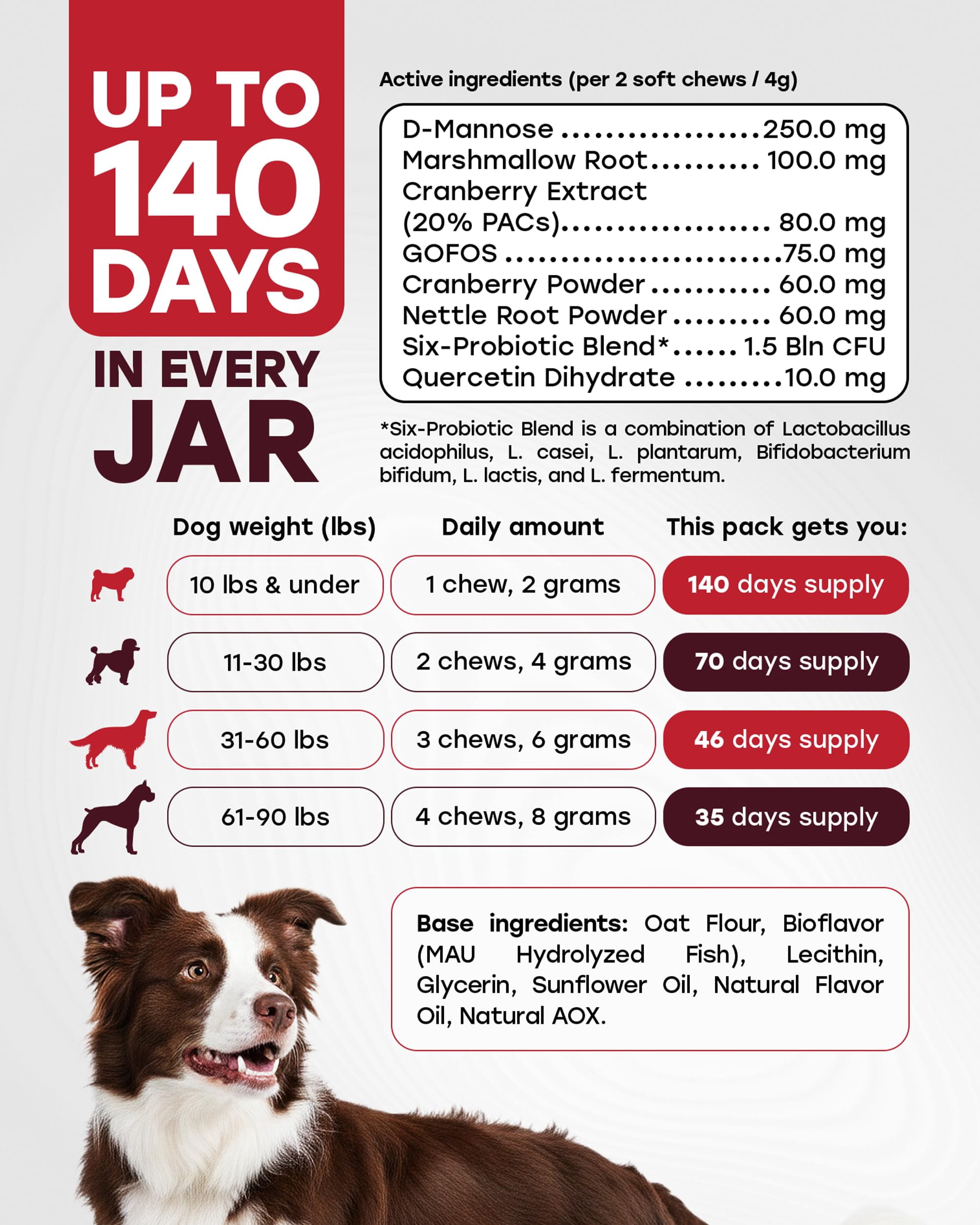 Pup Choice Dog UTI Chews, Cranberry Supplement for Dogs, Urinary Tract Support with D-Mannose & Probiotics, 140 Chews
