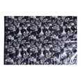 thumbnail image 1 of Hydrographic Film - Water Transfer Printing - Hydro Dipping - New Joker - 1 Meter, 1 of 5