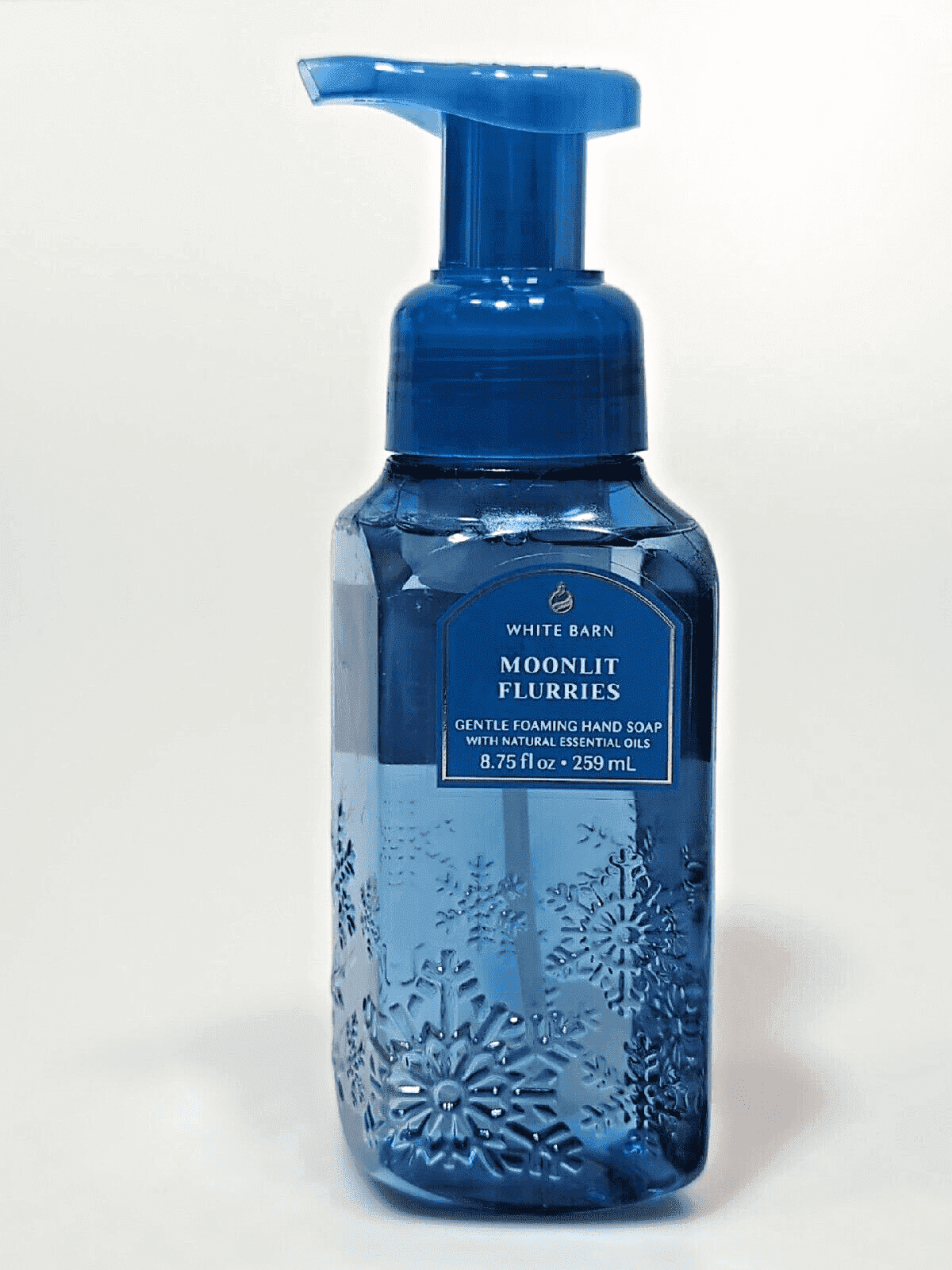 Bath & Body Works Fresh Winter Air Gentle Foaming Hand Soap