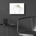 thumbnail image 5 of Epic Art 'Flannel Flower Neutral' by Elise Catterall, Acrylic Glass Wall Art, 16"x12", 5 of 8