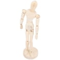 thumbnail image 3 of Table Top Mannequin Synthetic Material For Classroom Use 1Set 8.45x2.16x2.16in, 3 of 8