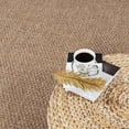 thumbnail image 2 of CAMILSON Easy Jute Rug Indoor Outdoor Farmhouse Area Rugs Natural 2x3, 2 of 9