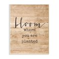 thumbnail image 1 of Stupell Industries Bloom Where You'Re Planted Placa De Pared 10 X 15 Diseño Por Artista Con Letras Y Rayas, 1 of 5
