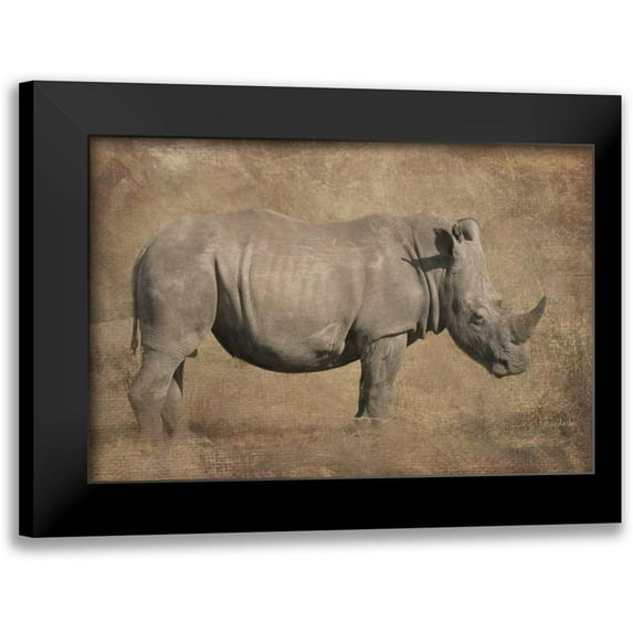 Murdock, Ramona 24x17 Black Modern Framed Museum Art Print Titled - Tank