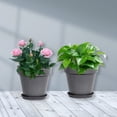 thumbnail image 4 of Precio sorpresa!Maceta redonda para flores, maceta de resina de Pothos suculenta, adecuada para uso interior y exterior, 4 of 6