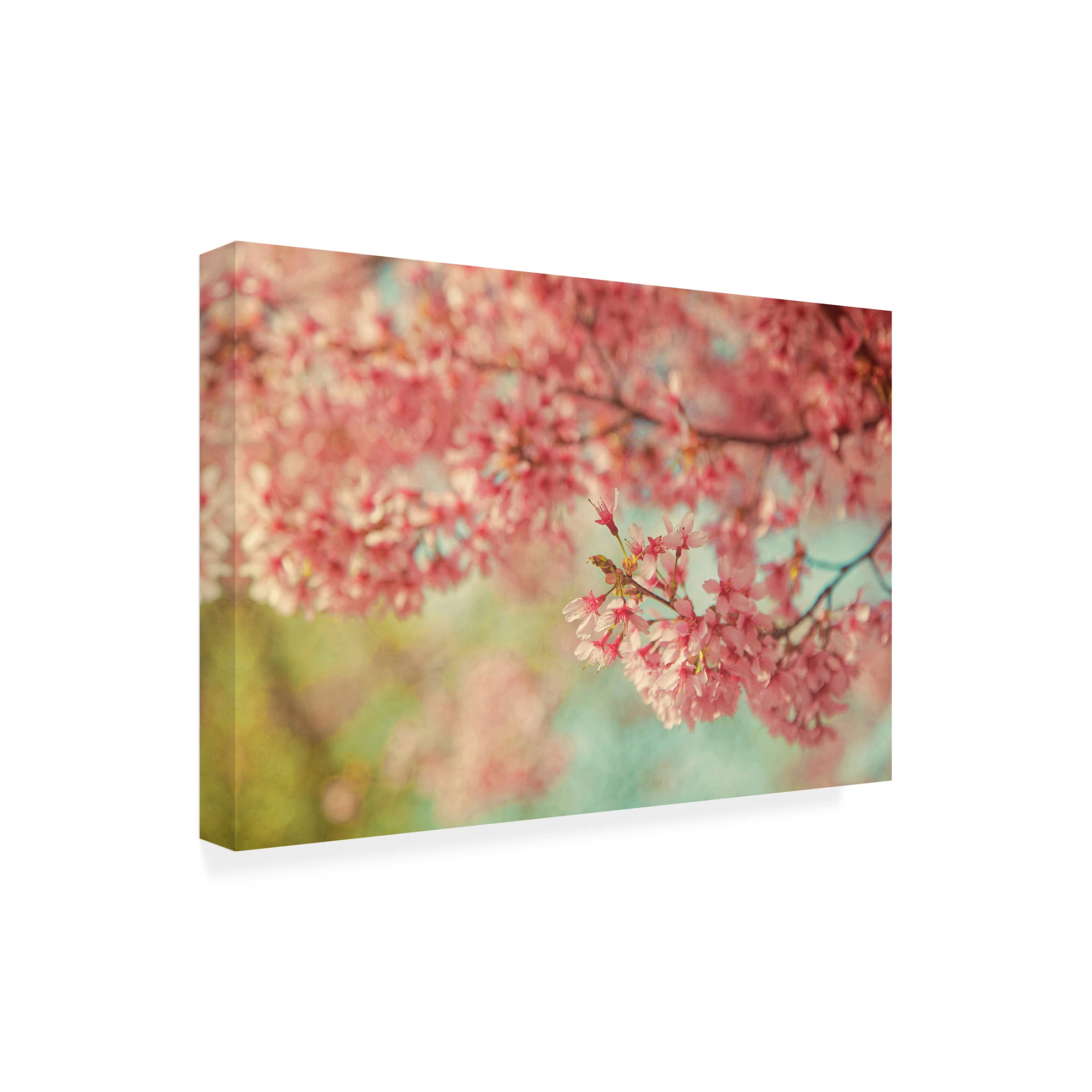 Canvas Wall Art - Carrie Ann Grippo-Pike 'Cheery Cherry Blossoms' Wall Art for Living Room, Bedroom, or Office Décor by Trademark Fine Art - 32 x 22 Inches