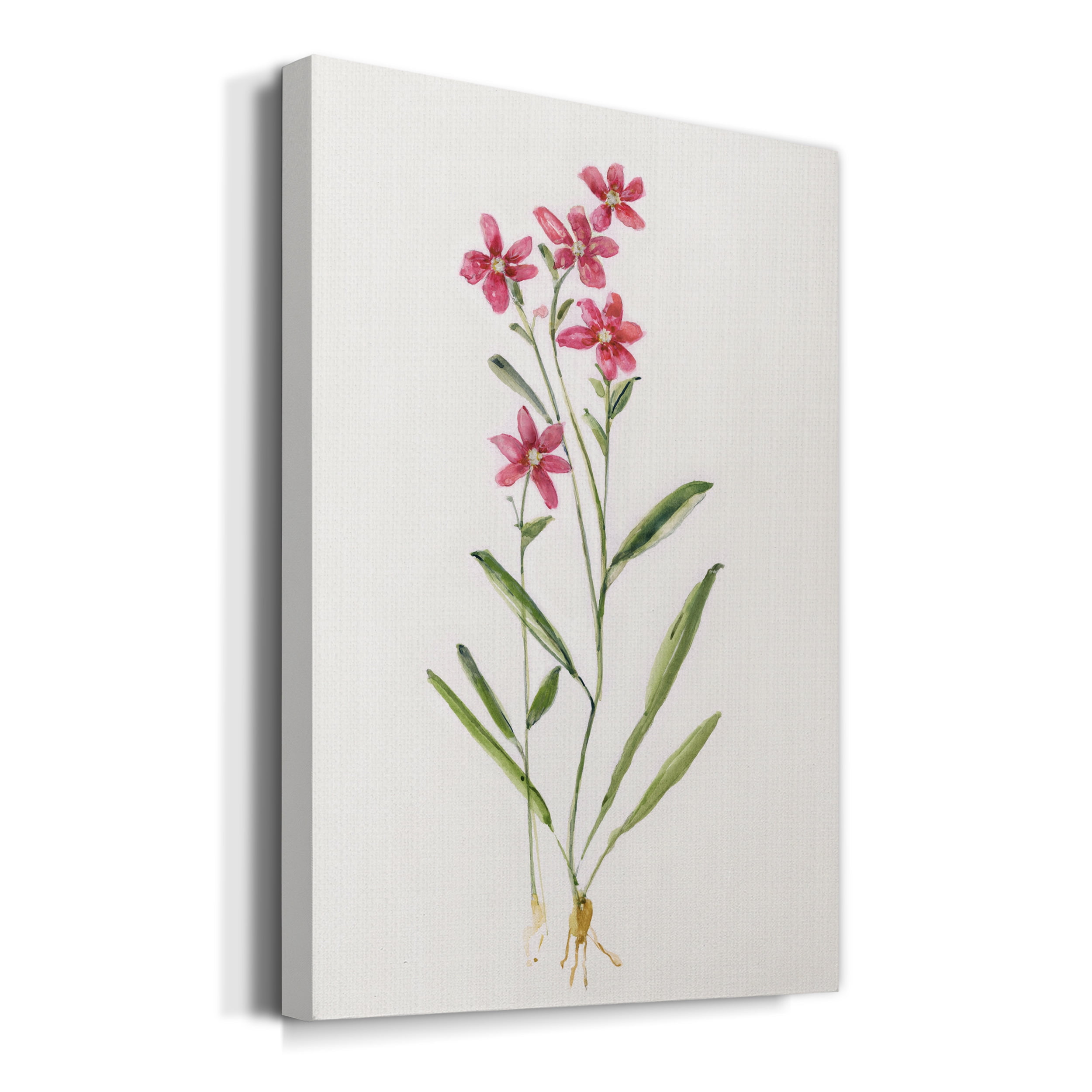 Delicate Pink II Premium Gallery Wrapped Canvas - Ready to Hang - 8 x 12