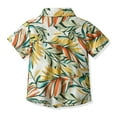 thumbnail image 5 of Miqool Toddler Boys Girls Hawaiian Shirt Kids Tropical 3D Print Short Sleeve Button Down Shirts for 6Months-13 Years Old, 5 of 9