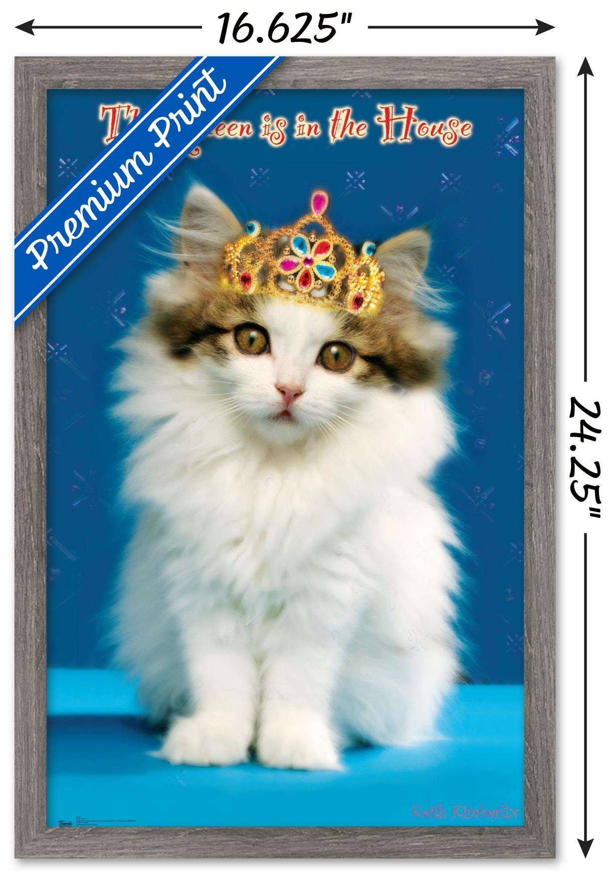 Keith Kimberlin - Kitten - Queen Wall Poster, 14.725" x 22.375", Framed