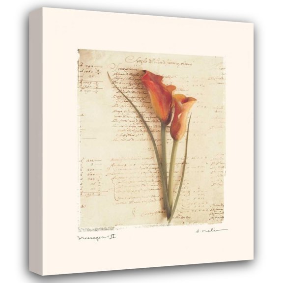Amy Melious 15x18 Gallery Wrapped Canvas Wall Art Titled - Messages II