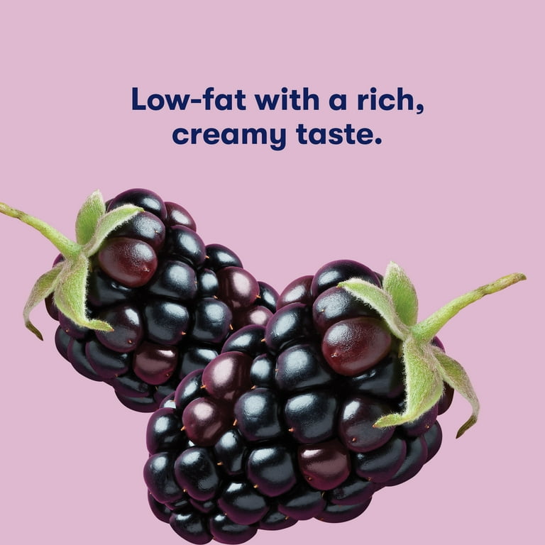 Tillamook Oregon Marionberry Good & Creamy Low Fat Yogurt, 6 oz