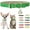 Green, variant on XS-Small Pet Collar with Bell - Adjustable Buckle Soft PU Leather Puppy & Kitten Collar for Tiny Dogs/Cats (Yorkie, Teacup) - Lightweight Breathable Collars for Male/Female Pets