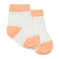 thumbnail image 2 of PL Baby Baby Boy Three Piece Top, Short & Socks Set, 2 of 4