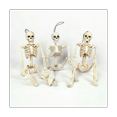 thumbnail image 2 of 5 Piezas de Decoraciones de Esqueleto de Halloween, Esqueletos de Articulaciones Articuladas de Cuerpo Completo de 16 Pulgadas para Halloween, Decoraciones de Casas Encantadas, 2 of 5