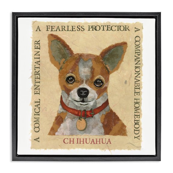 Stupell Industries Bohemian Fun Chihuahua Pet Phrases Black Floating Frame Canvas Art, 18 x 18, by Nancy Overton