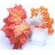 thumbnail image 4 of Guirnalda de luces otoñales, 3 m, 20 LED, hojas de arce otoñales, funciona con pilas, luces decorativas para Acción de Gracias, Navidad y Halloween., 4 of 4