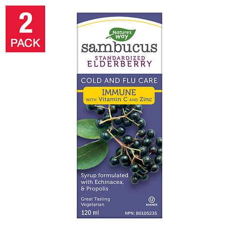 Nature's Way Sambucus Immune Syrup with Zinc and Vitamin C - 2 x 120 ml